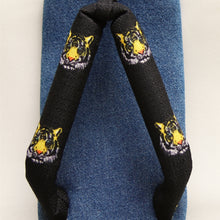 画像をギャラリービューアに読み込む, あやとら