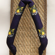 画像をギャラリービューアに読み込む, あやとら